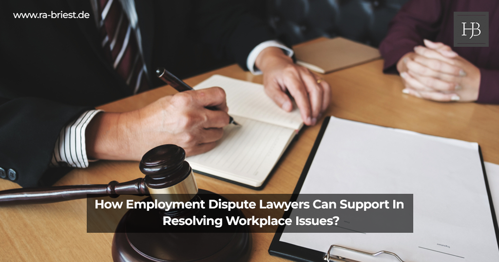 how employment dispute lawyers can support in resolving workplace issues